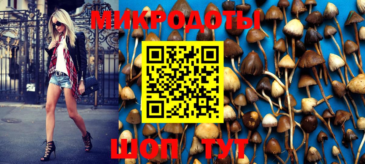 Сегежа  Псилоцибиновые грибы Psilocybine cubensis  Псилоцибиновые грибы Cubensis  Вход с VPN 